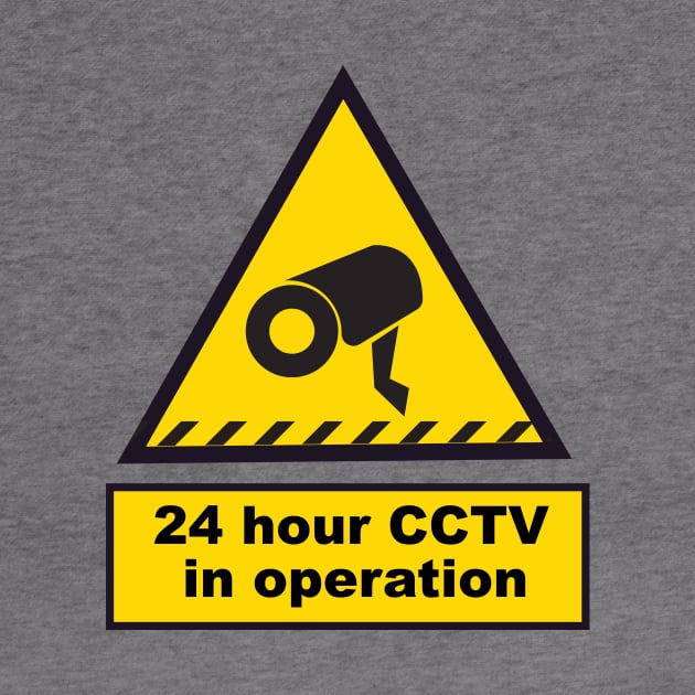 24 Hour CCTV in Operation by nickemporium1